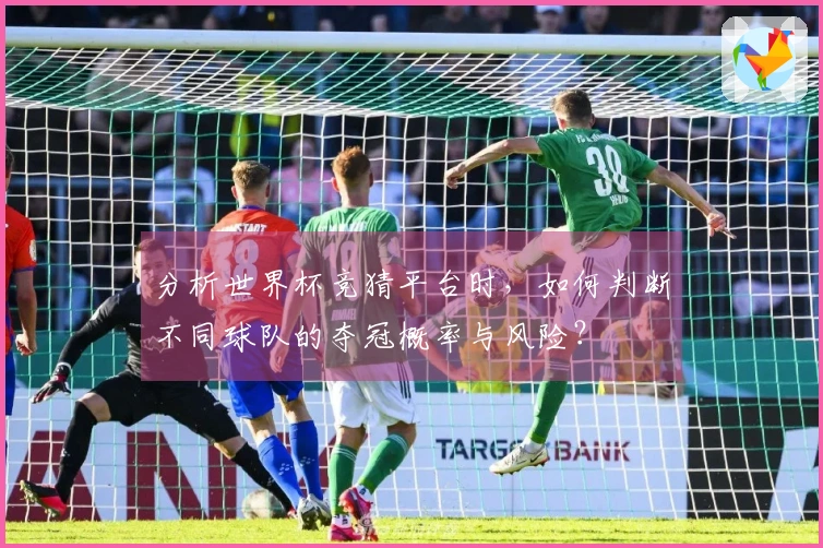 分析世界杯竞猜平台时，如何判断不同球队的夺冠概率与风险？